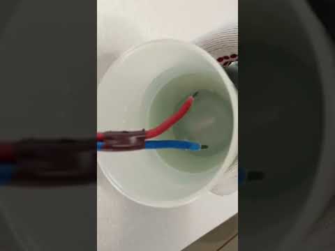 Phase Neutre 230V dans l'eau - Électricité