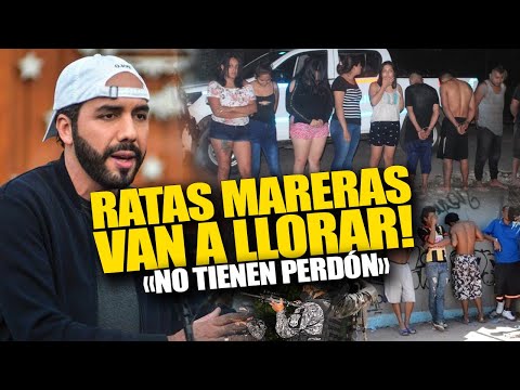 Bukele ordena poner de rodillas a lideres mareros tras amenazarlo con toque de queda en El Salvador