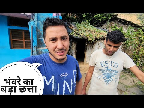 घर के नीचे भँवरों ने छत्ता बना दिया || Pahadi Lifestyle Vlog || Cool Pahadi