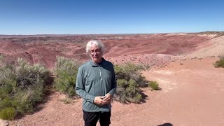Berry Tramel's Arizona travelblog: Petrified Forest shines