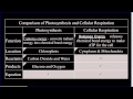 Photosynthesis and Cellular Respiration Concepts