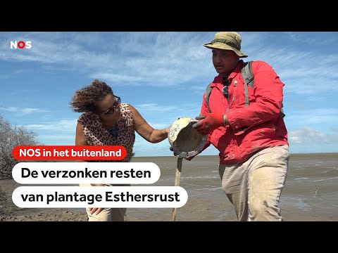 Reis naar het 'Pompeï van Suriname'