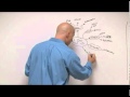 Effects of Lipopolysaccharides on Health