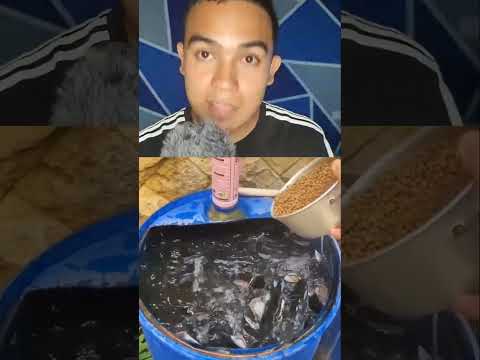 Asi Alimentan a miles de peces  #reaction #asmr #reaccion #satisfying #respect #fypシ