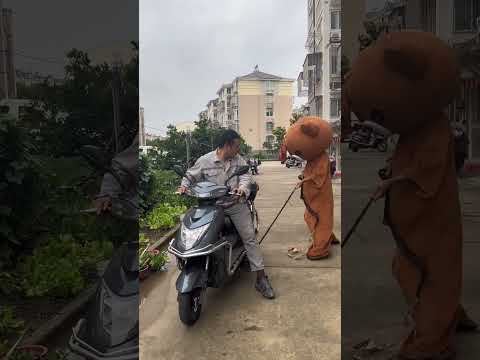 Come here if you have the ability, Pippi Bear, watch it again and laugh again