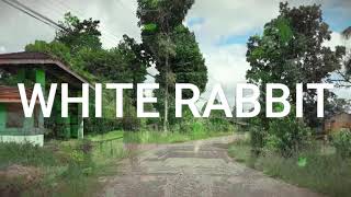 White Rabbit - Christian Balaan (Psytrance)
