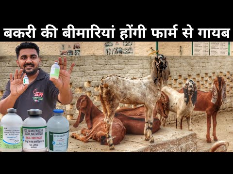 अब होगी बकरी की बीमारी रफूचक्कर | Bakri me Hone Wali Bimari | Goat Vaccination in Hindi