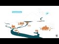 Environmental Flows and River Systems