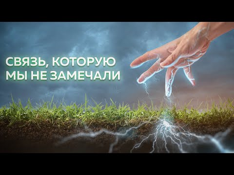 Живые электросети планеты: они связаны с нашим телом| рубрика Пушка #23