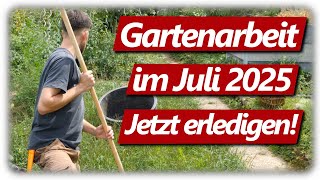 Gartenarbeit Juli | Aussaat, Basilikum Pesto Rezept, Unkraut entfernen, Kraut- und Braunfäule