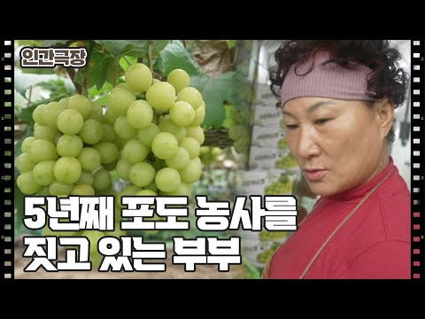 [포도밭의 점님씨] (1/15) [인간극장/Screening Humanity] | KBS 241118 방송