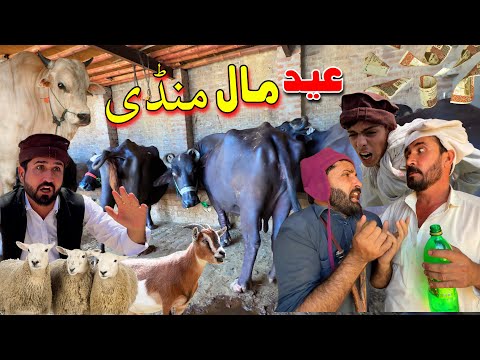 Eid Maal Mandi 2025 || New Funny Video By Khan Vines