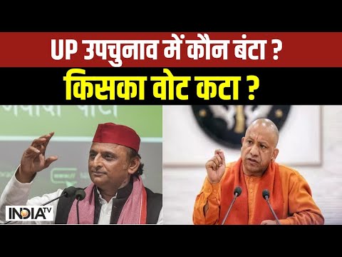 UP By-Election 2024 Voting: 9 सीटों का फाइनल रुझान... CM Yogi कितना आगे? | Akhilesh Yadav