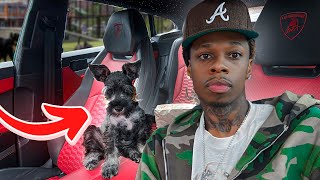 BABYSITTING MY EX DOG...