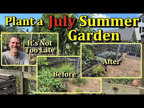 How to Start & Plant a Summer Garden in July (Build a Garden Anytime!)