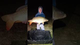 🔥🎣 **Nočný kapor 7,5 kg + nočná opekačka!🌙🔥** #fishing #carpfishing #carp #river #lake #fish #nature