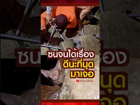 ซนจนได้เรื่อง ดีนะที่นุดมาเจอ น้องแมวติดอยู่ในท่อระบายน้ำ l Help a cat stuck in a drainpipe #cat