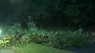 Downed tree closes lanes on Kelly Drive in Philadelphia