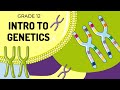 Exploring the Basics of Genetics and Inheritance