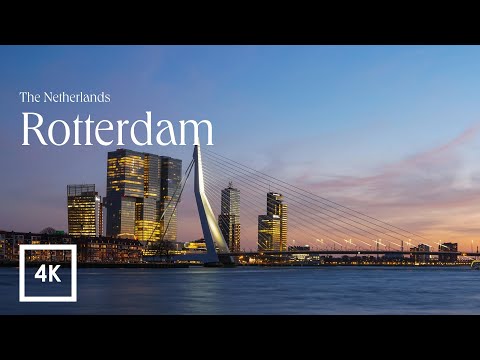 Rotterdam, The Netherlands Walking Tour | See AIDA Cruises and Erasmus Bridge | 4K 60FPS