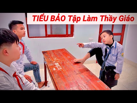 DTVN Vlog : (Tập 184 )Bài học nhớ đời cho kẻ giám bắt nạt trẻ trâu( TIỂU BẢO TẬP LÀM THẦY GIÁO )