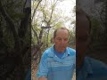 Understanding Kindness