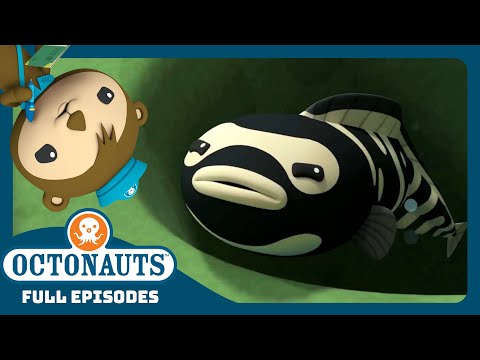 @Octonauts - 🪸 The Convict Fish 🐠 | Season 4 Full Episodes | Cartoons for Kids