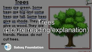 Trees (picture/reading/explanation)
