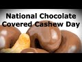 Cashew Nut Trivia Questions