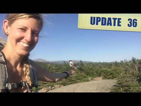 Update 36: Finishing Out the Whites Strong!