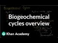 Exploring Biogeochemical Cycles in Ecosystems
