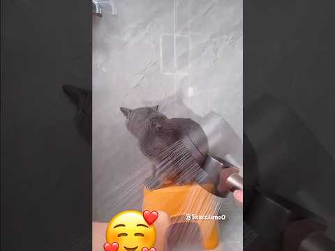 BATH TIME🐈⬛🥰