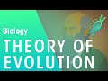 Exploring the Theory of Evolution by Natural Selection