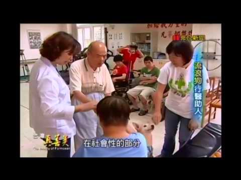 台灣真善美2014-03-09 狗醫生介紹 - YouTube