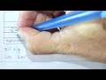 Oxidation States and Reactions