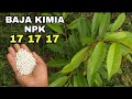Fertilizer Application for Durian Trees