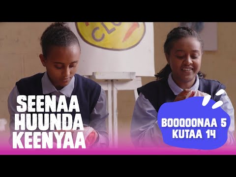 Seenaa Huunda kenyaa | Booqoonaa 5, Kutaa 14