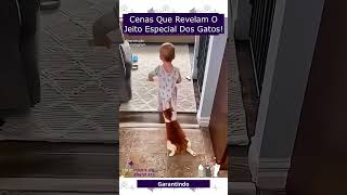 Cenas Que Revelam O Jeito Especial Dos Gatos!