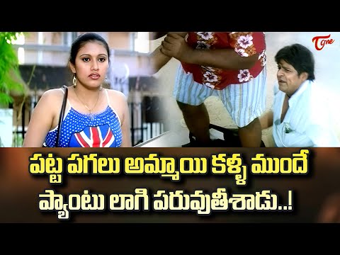 పట్ట పగలు అమ్మాయి కళ్ళ ముందే..? Actor Sunil & Ali Best Back To Back Hit Comedy Scene | Navvula Tv