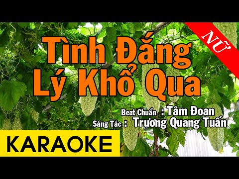 Karaoke Tình Đắng Lý Khổ Qua Tone Nữ Nhạc Sống – Beat Chuẩn Tâm Đoan