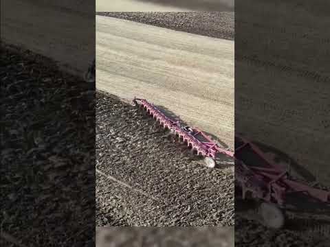 Biggest tractor in field #shorts #youtubeshorts #farming