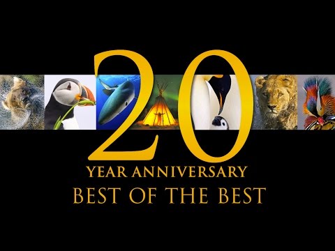 Best of the Best: 20 Years of Nature&#39;s Best Photography