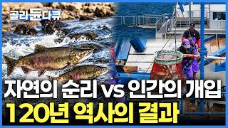 인간이 산란에 개입할 수밖에 없다고? 120년 전 부터 시작된 연어 양식의 소름돋는 비밀｜다큐프라임｜#골라듄다큐