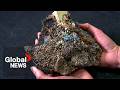 Impact of Plastic Production