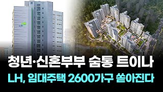 청년·신혼부부 숨통 트이나…LH, 임대주택 2600가구 쏟아진다