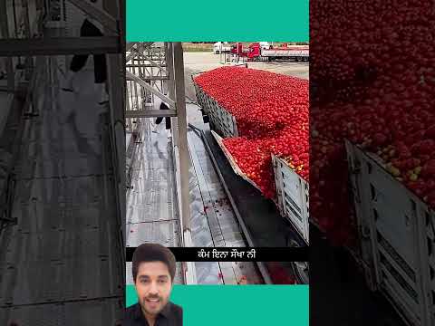 ਡਾਲਾ ਖੋਲ