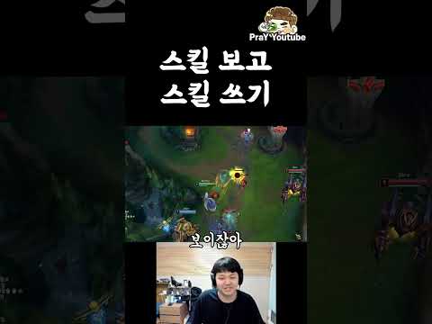 스킬 보고 쓰기