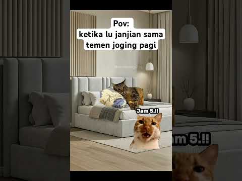 Susah bangun wkwkw #kucingmeme #catmeme #kucinglucu