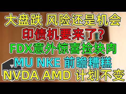 美股 大盘下跌，风险还是机会？FDX意外惊喜捡块肉！MU、NKE前瞻糟糕！