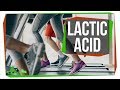 Understanding Lactic Acid and Muscle Fatigue